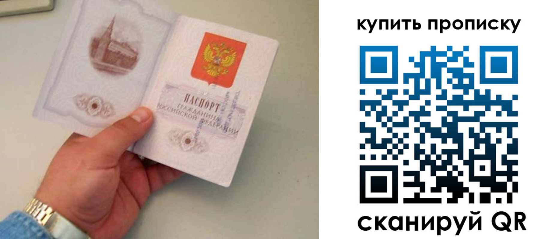прописка для работы в Долгопрудном